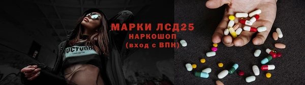 СК Алексин