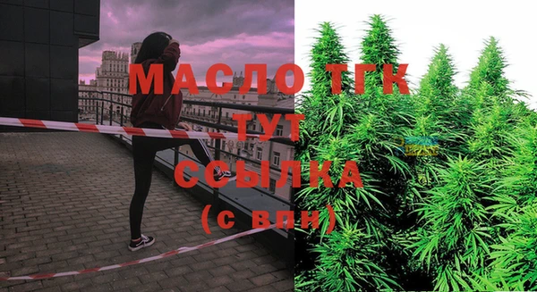 индика Абинск