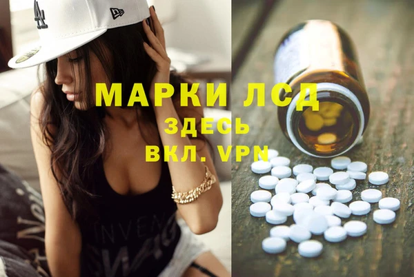 индика Абинск