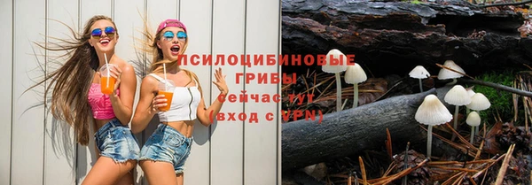 индика Абинск