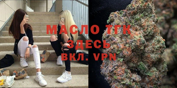 индика Абинск