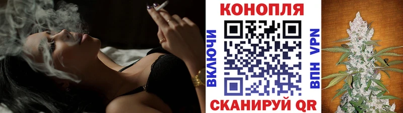 Бошки Шишки гибрид  Фокино 